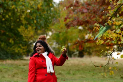 DSC_0490 (Large).JPG